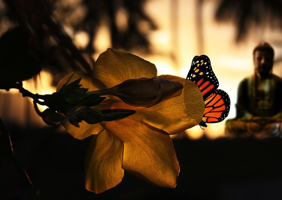 Tamron 18-270mm f/3.5-6.3 Di II VC PZD EF-S обектив Канон