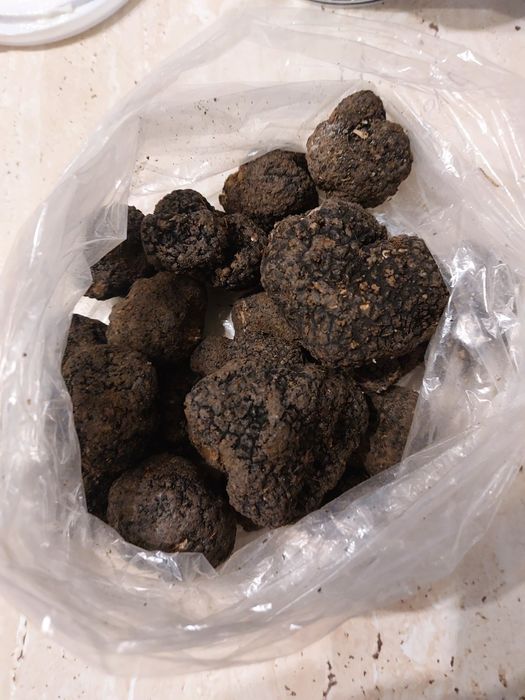 Trufe proaspete fresh parfumate savuroase sălbatice