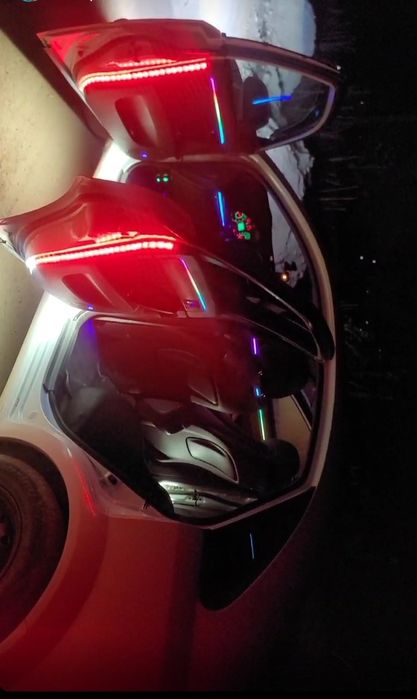 Жентра 2017  Оқ Белодимчатий