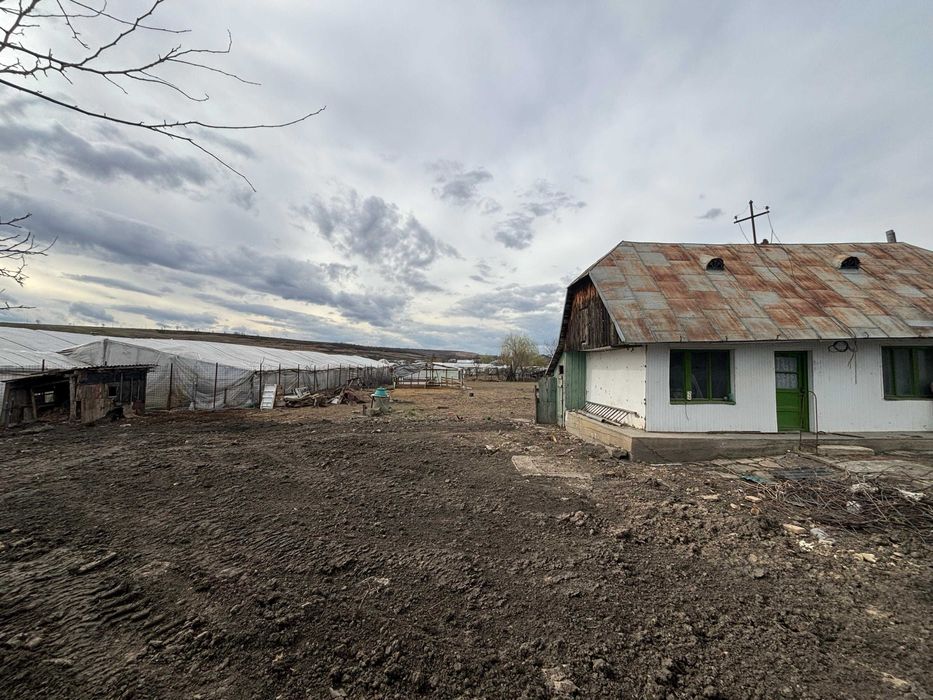 Teren intravilan Targu Frumos, strada Jora