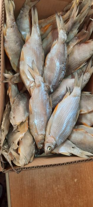 Вобла вяленая Капчагайская