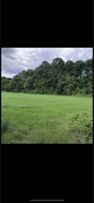 Teren intravilan la padure si drum asfaltat