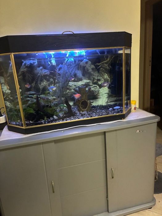 Оборудван аквариум 110 литра