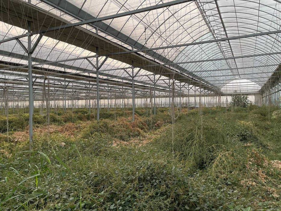Тепличный комплекс в корейском стиле 1.30 га ор.Джамбай