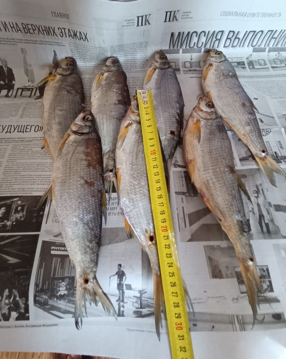 Продам сухую,вяленную рыбу