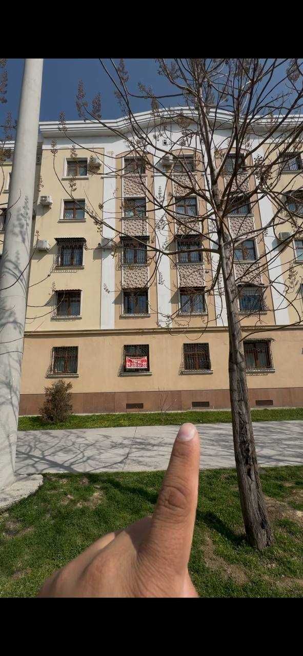 Nurafshon-Sagbon chorraxa. Ideal lokatsiya