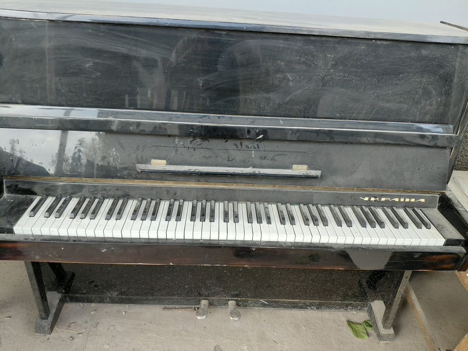 Пионина 2 шт советские