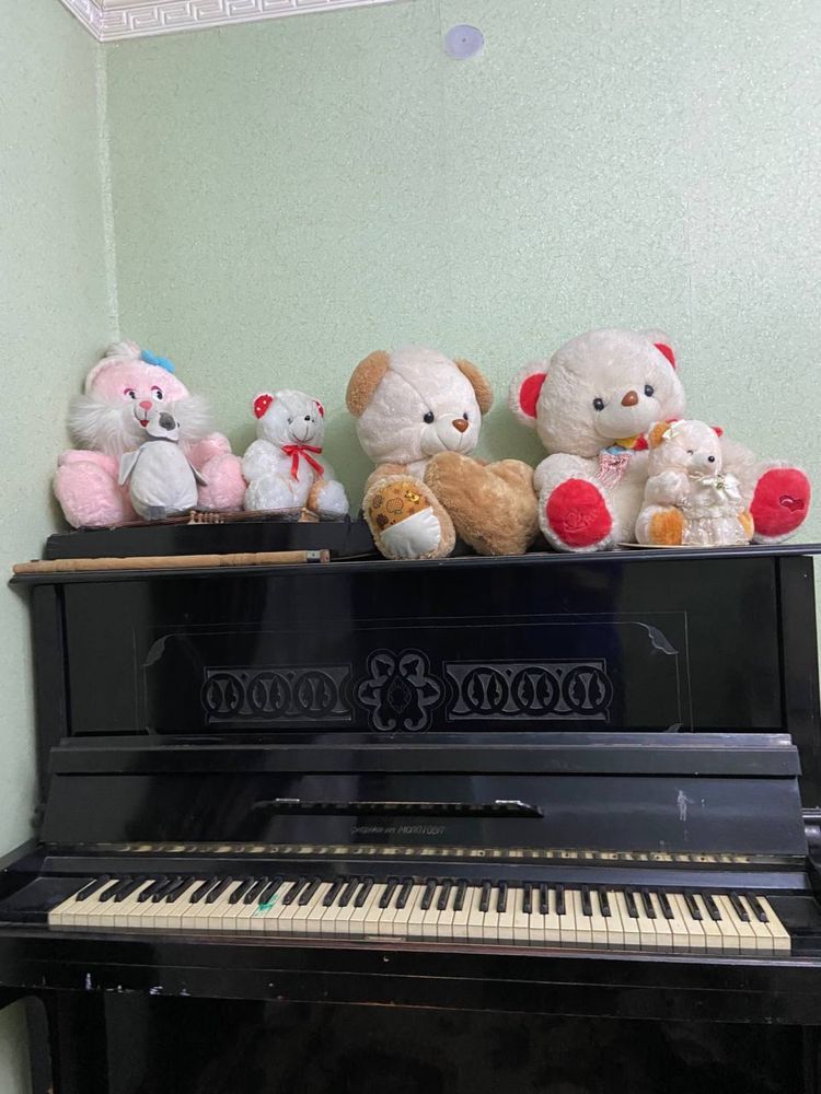 Fortopiano sotiladi narxini kelishamiz xolati yaxshi