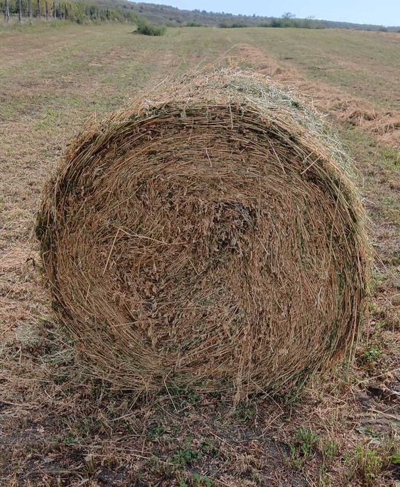 Vând baloți de lucernă, fân și paie