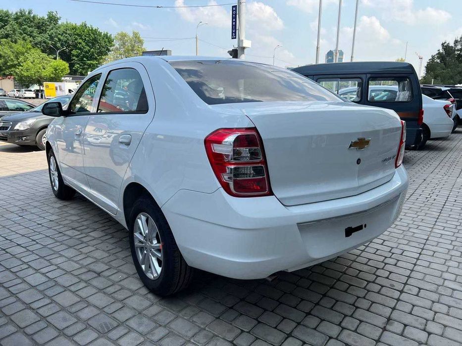 Cobalt STAYL MCM Nataryus Tekin