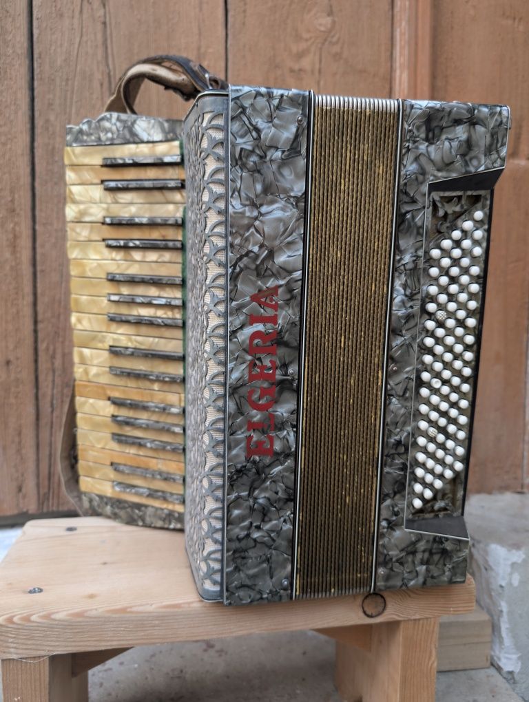 Acordeon Elgeria 80 basi