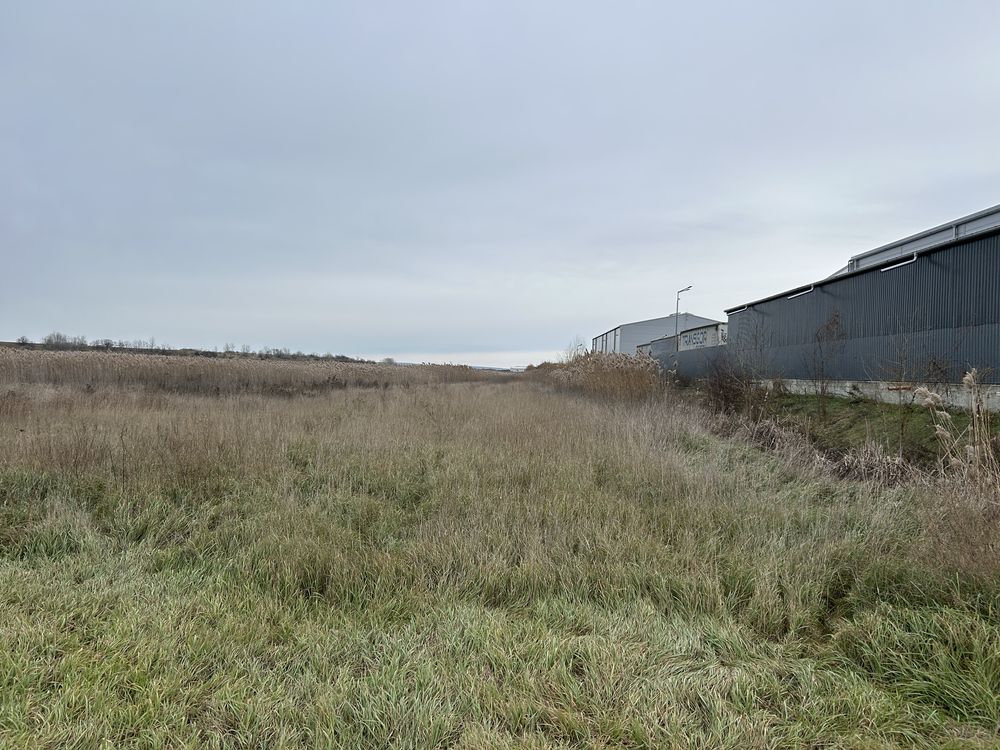 Urgent! - Persoana fizică- teren intravilan industrial Tomesti