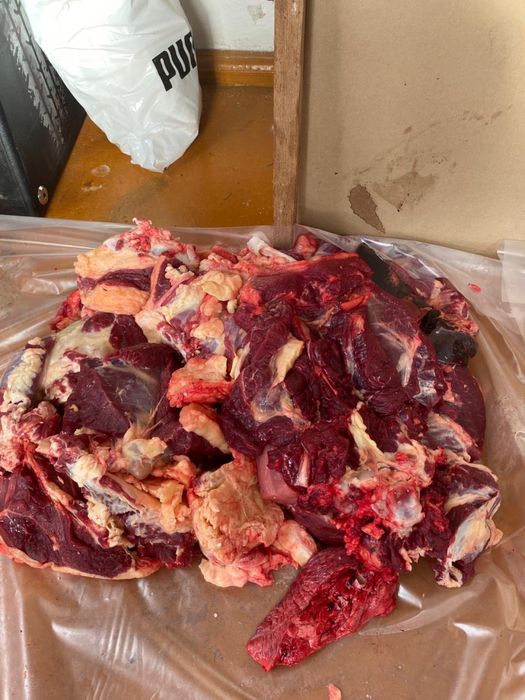 4 жасар Қара малдың еті сатылады