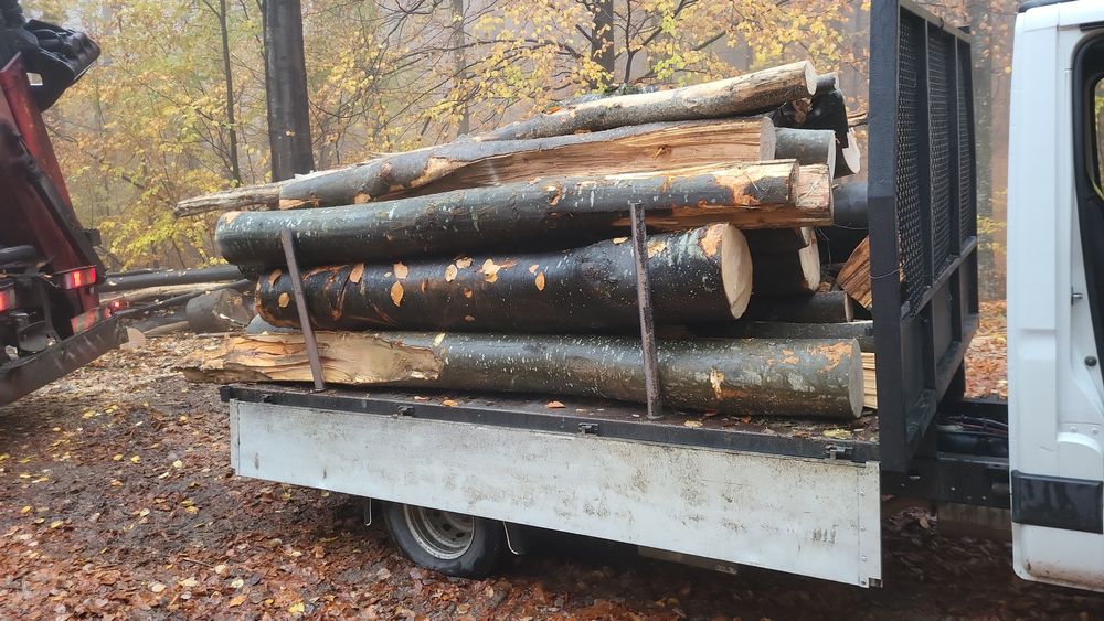 Vând lemne foc esență fag