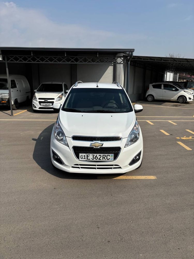 Srochna Spark 2019