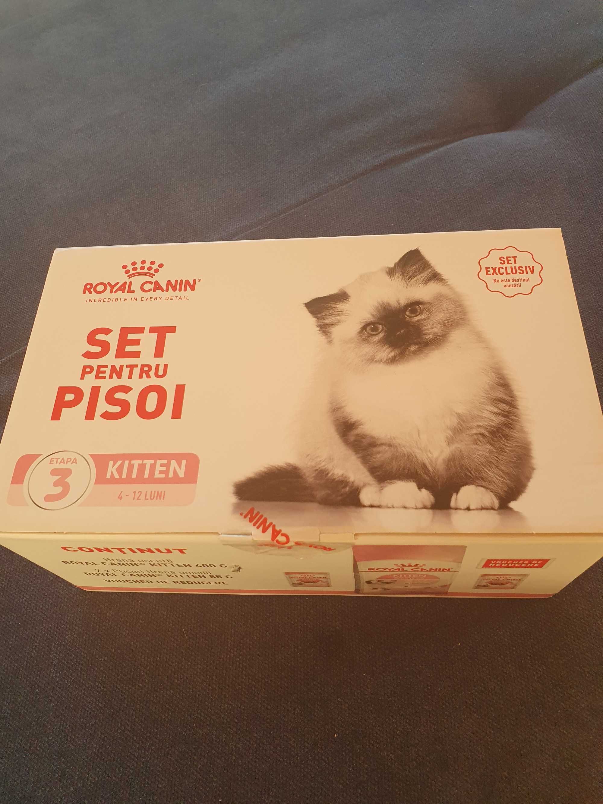 Set mancare pentru pisoi Royal Canin