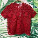 Top Zara Brodat Dantela Embrodiered Lace top