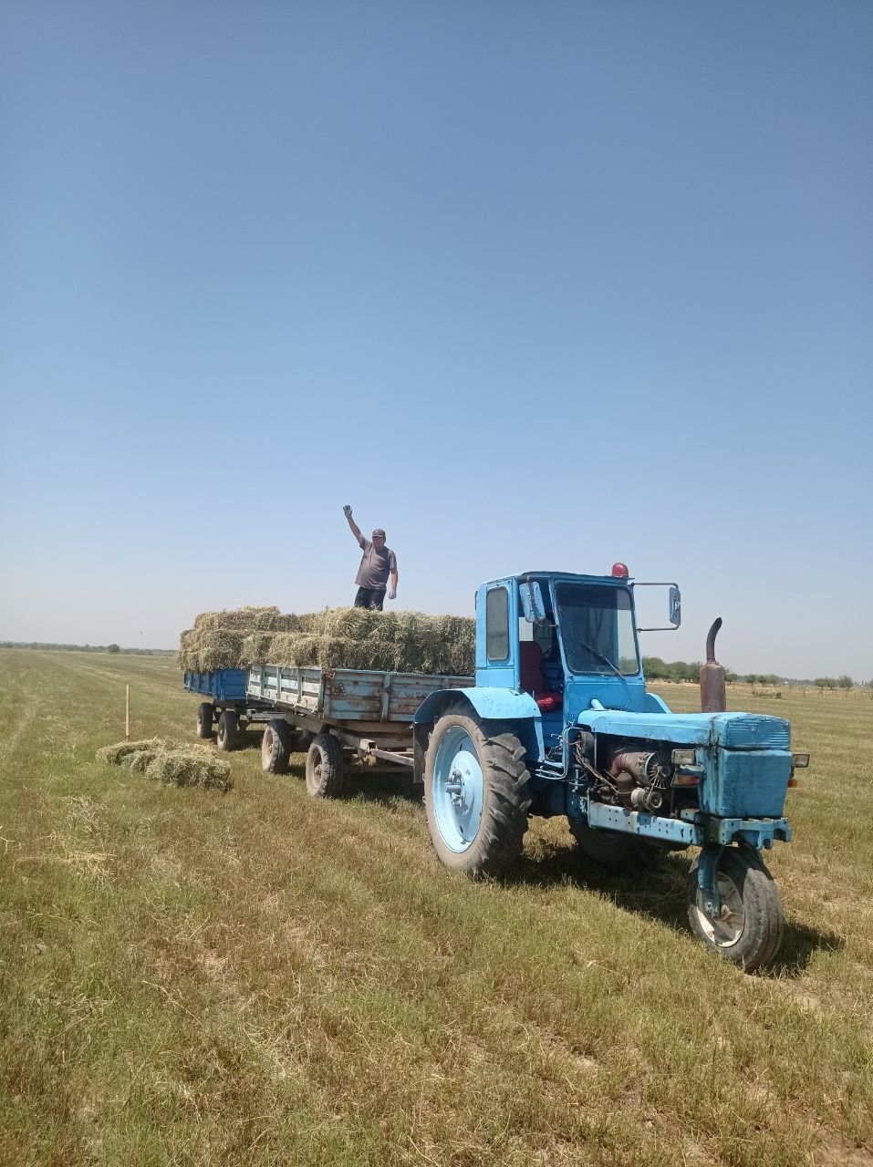 T28 traktor prsepi kultivatori b.n