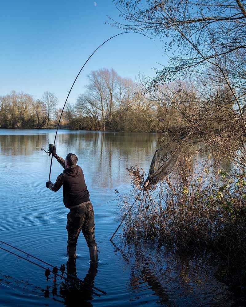 Намаление! Шаранджийска въдица FOX EOS X 12ft/13ft - 3.5lb