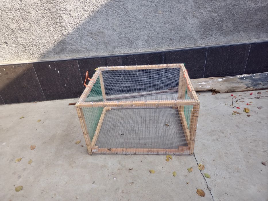 Tovuq yoki joja uchun katak !