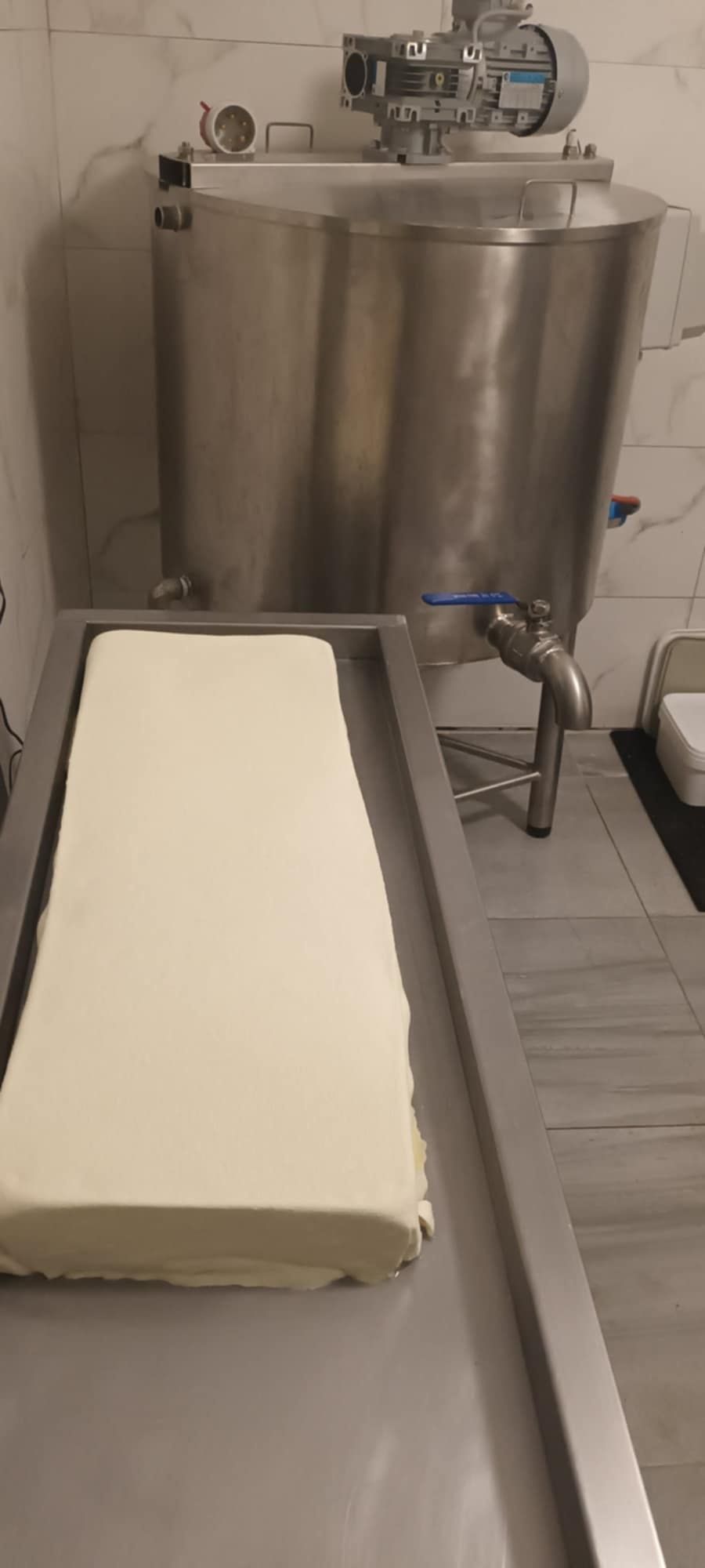 Домашно овче сирене