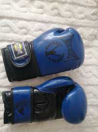 Manusi kick boxing