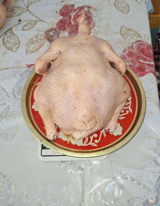 Мясо домашнего бройлера