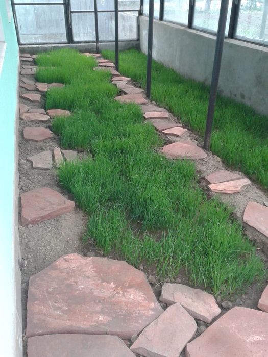 Коттедж в Талгаре