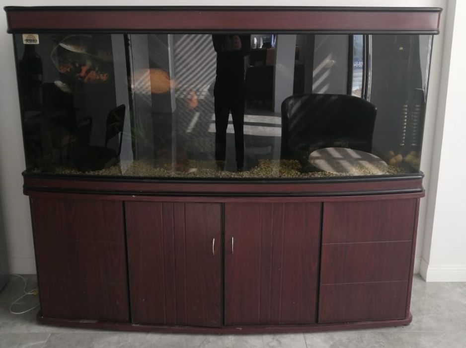 Продаётся аквариум в хорошем состоянии. Всё работает, трещин нет.