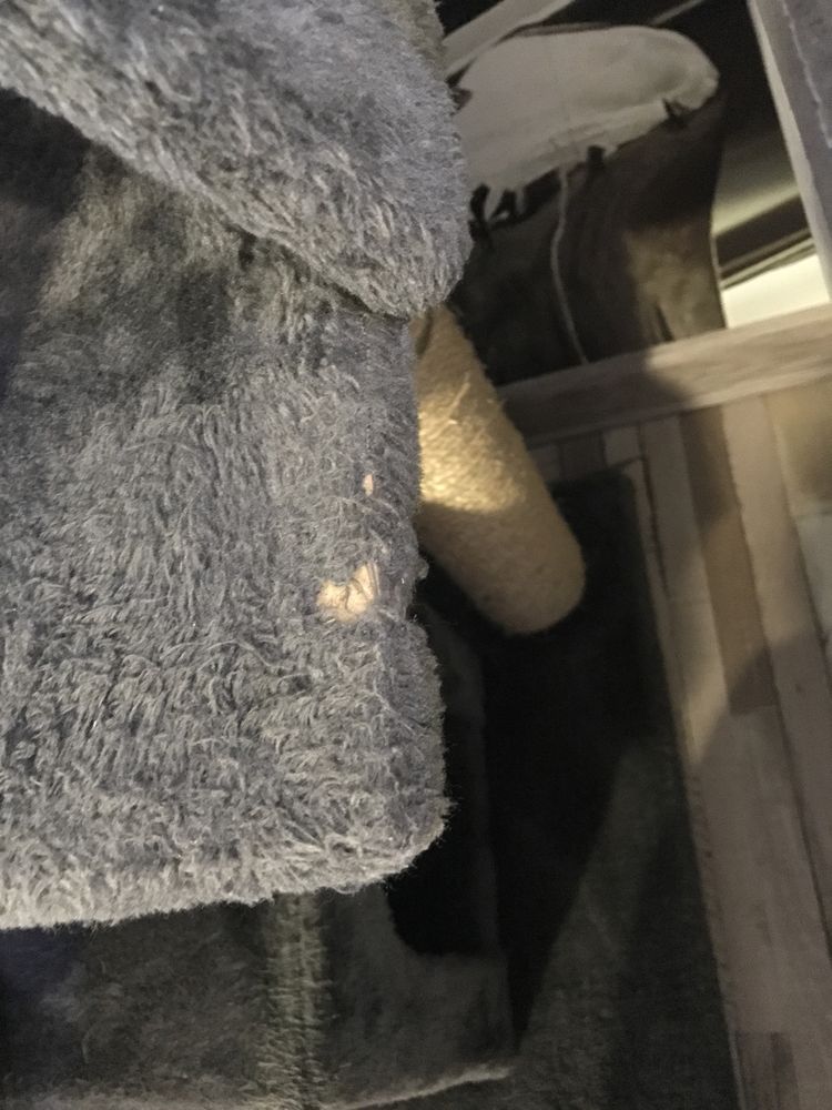 Катерушка за коте