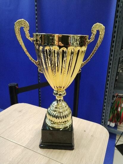 Cupă C920 Or 40cm - BENJAMIN - produs resigilat Decathlon