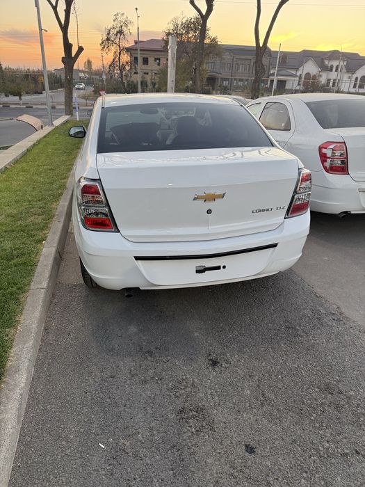 Cobalt midnayt mcm 2026