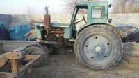 Traktor T40 shina yaxwi