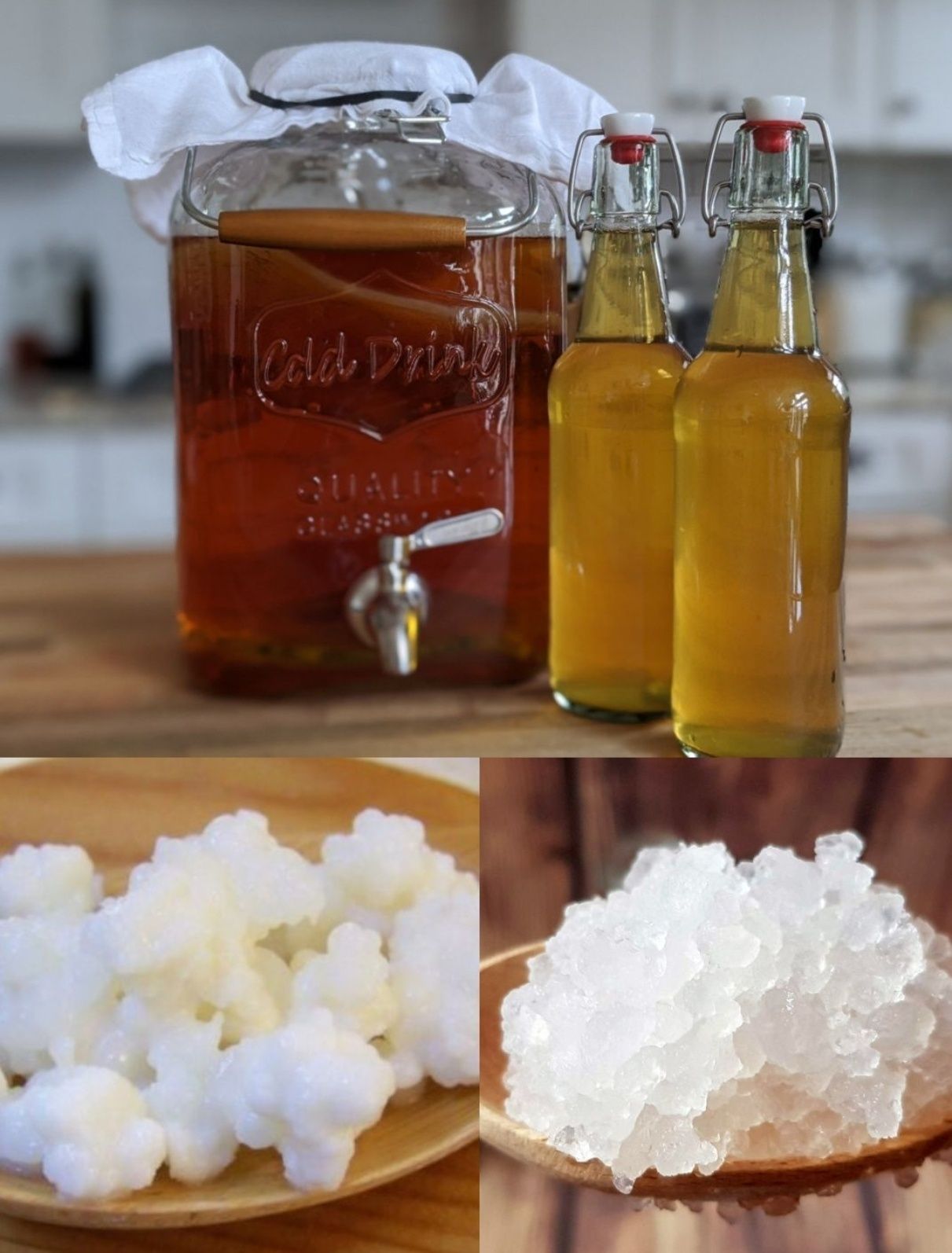 Vând Kombucha, ciupercă tibetană (kefir de lapte) și cristale Japoneze