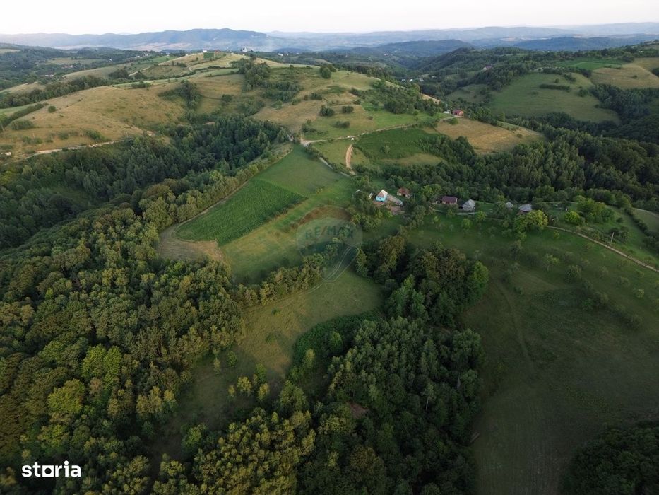 Preluca Noua Jud. Maramures Teren Deosebit De Vanzare