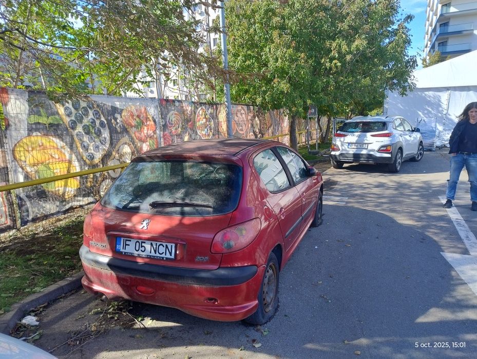 Peugeot 206 pentru piese