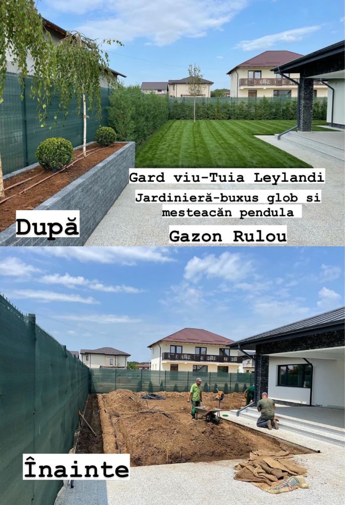 Amenajez Spatii verzi-gazon rulou