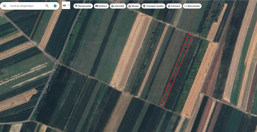 Teren extravilan 1500 mp – de vânzare