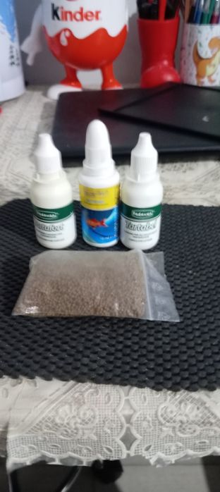 Vand Broasca testoasa (cu accesorii)