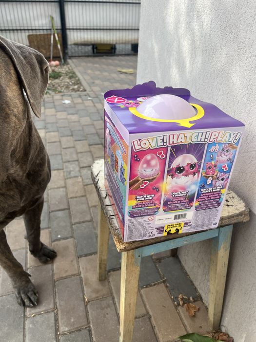 Jucarie de plus surpriza, Hatchimals, Pufficorn , noua sigilata