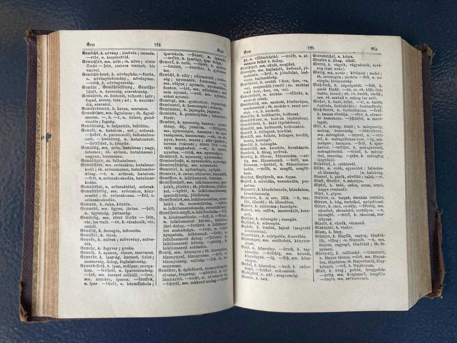 Dicționar German Maghiar Maghiar German, Ballagi Mor