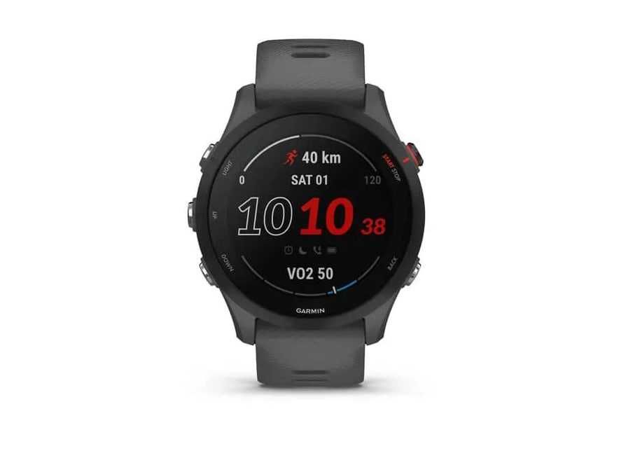 Смарт часы Garmin Forerunner 255 Gray