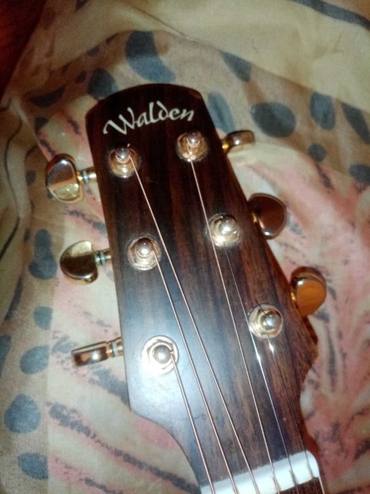 Гитара walden g640