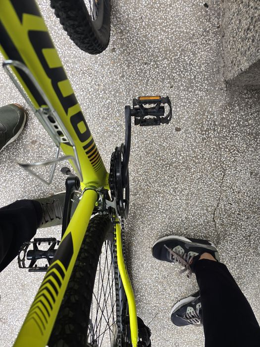 Omega Thomas 27.5
