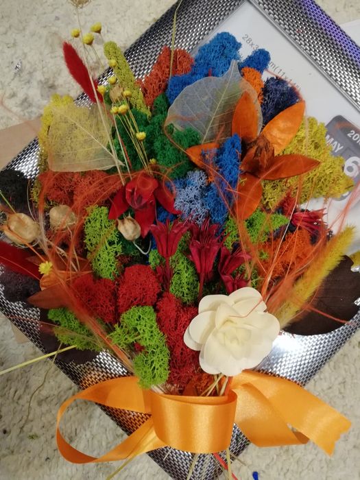 Perete/tablou natural licheni