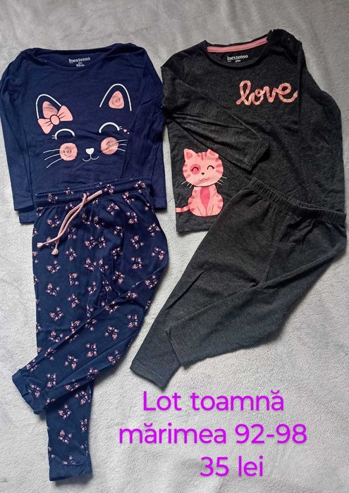 Set bluze si pantaloni fetita