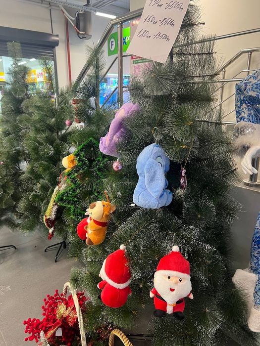 Продажа ёлок, сосна пушистик со снегом