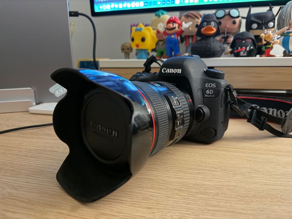Canon EOS 6D II + Canon EF 24-105 f4 L IS