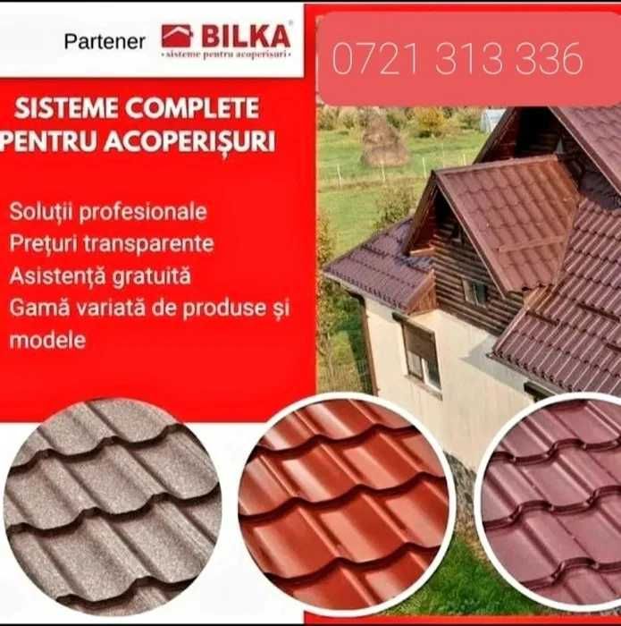 Lucrari complexe dulgherii montaj tigla metalica si sisteme pluviale