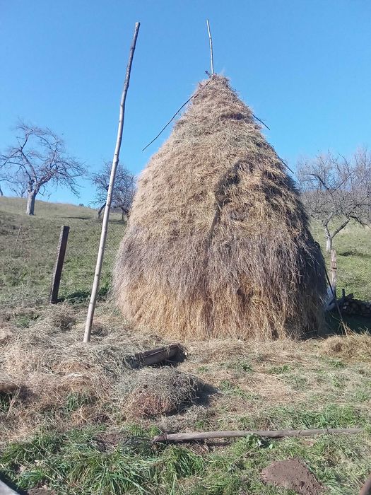 Vând claie fân mare